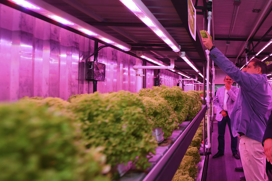 Signify utiliza luces LED para promover la producción sostenible de alimentos
